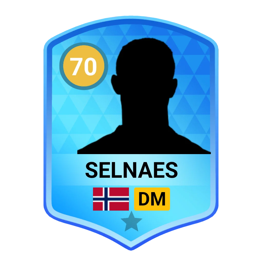 Selnaes