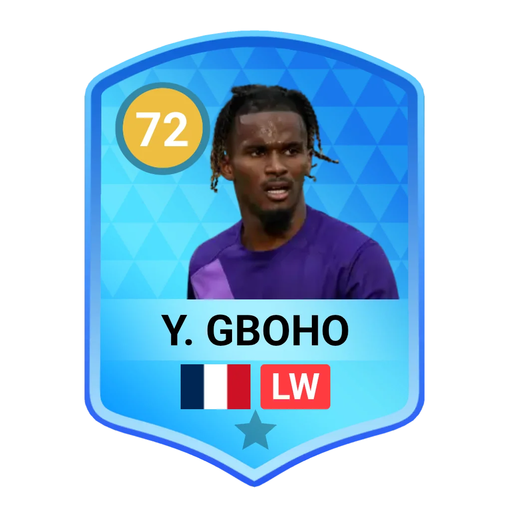 Y. Gboho