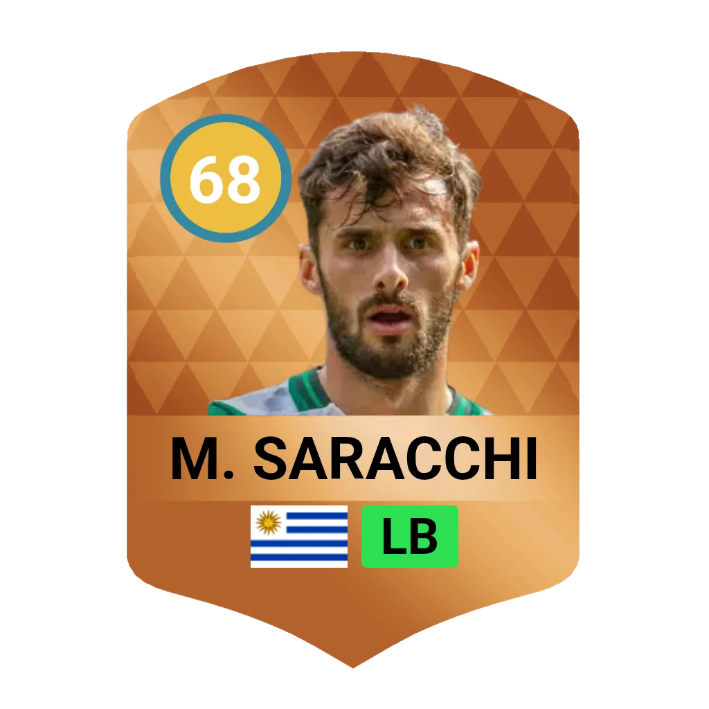 M. Saracchi