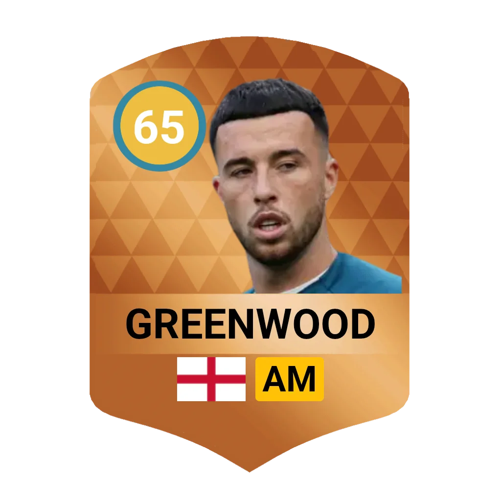 Sam Greenwood DLS 26 Card