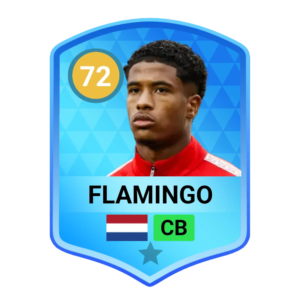 Flamingo