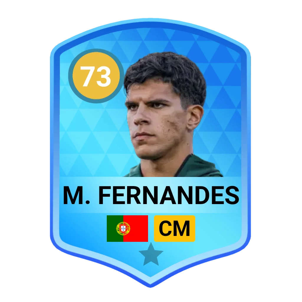 M. Fernandes