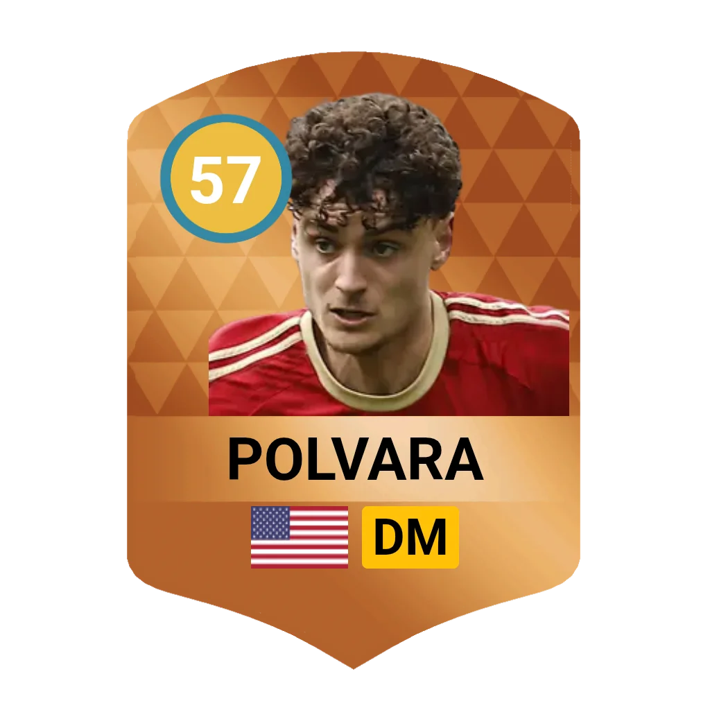 Polvara
