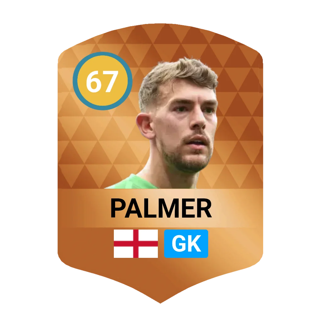 Alex Palmer DLS 26 Card
