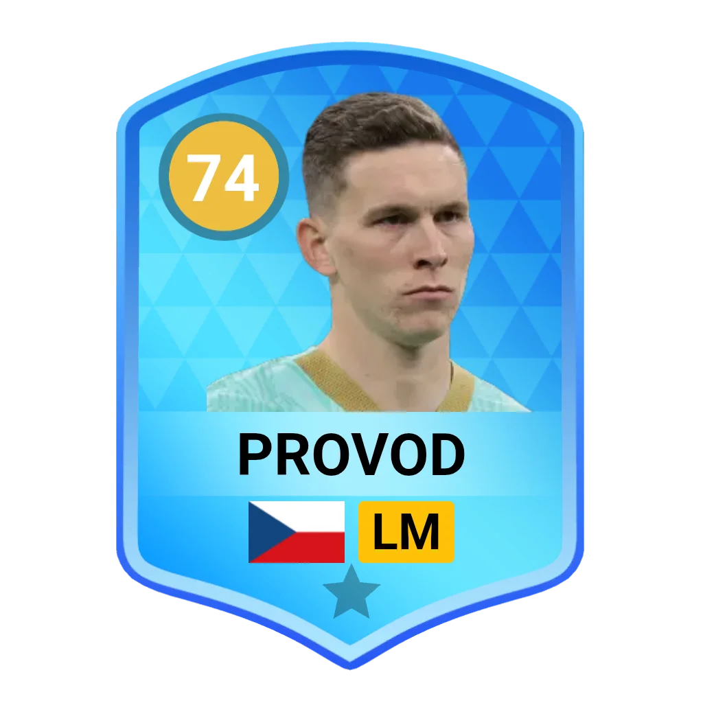 Provod