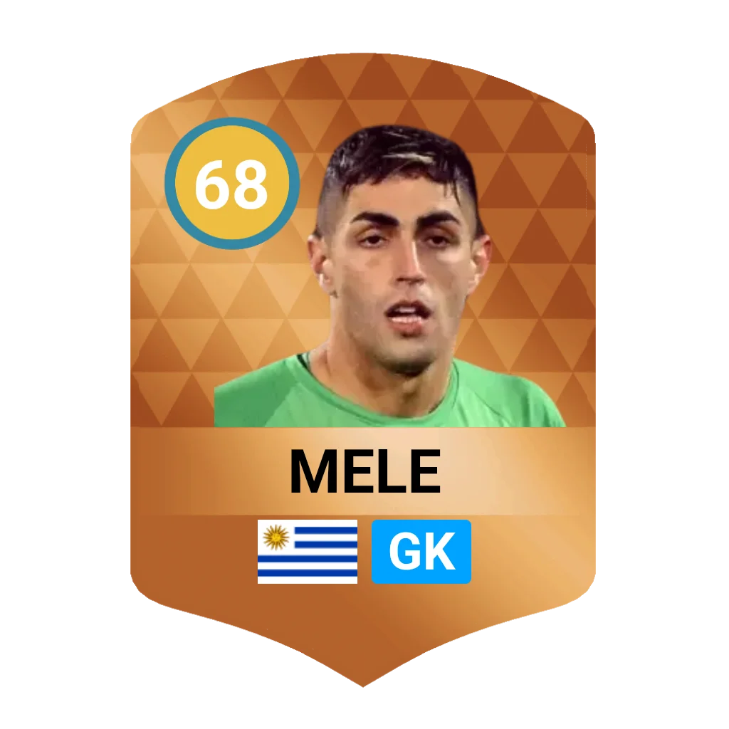 S. Mele