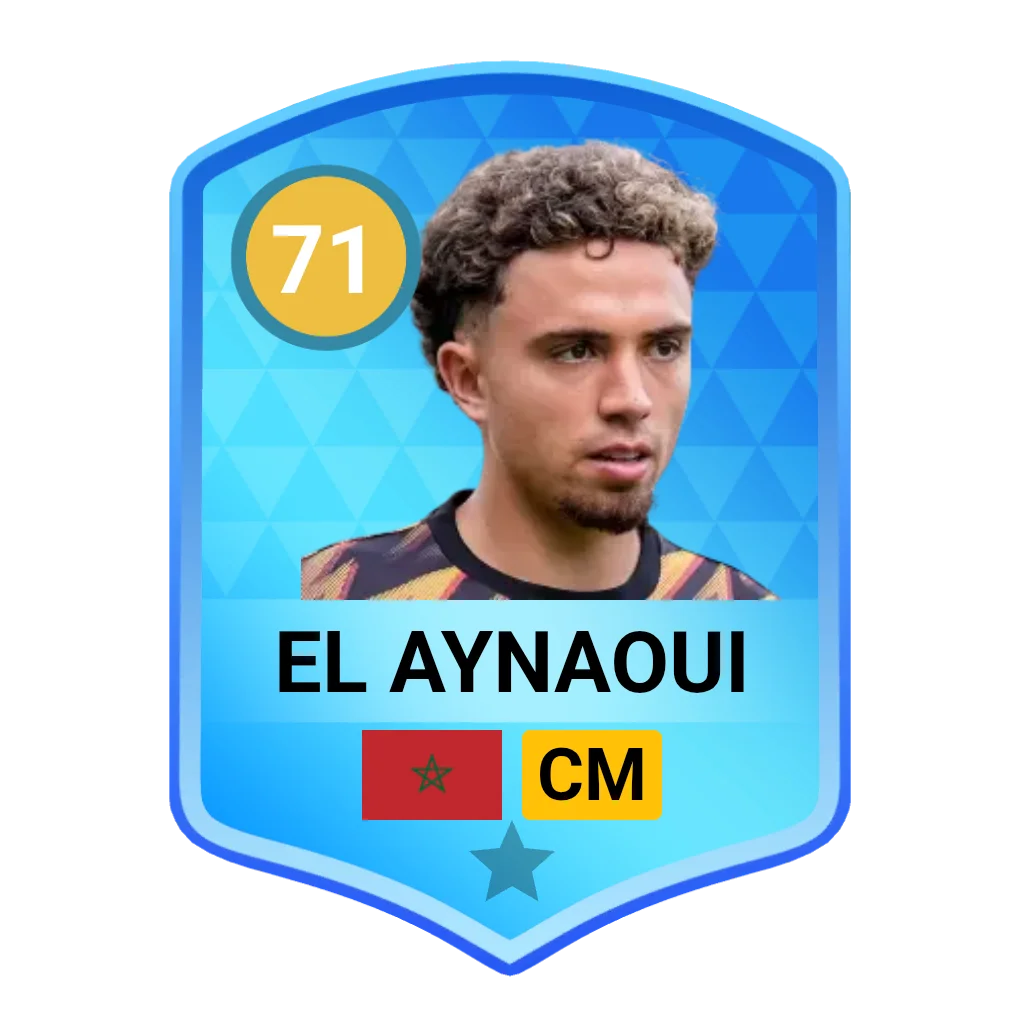 El Aynaoui