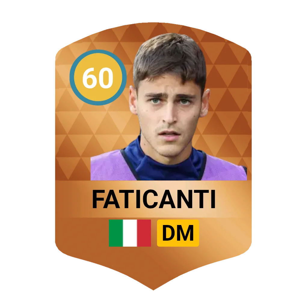 Faticanti