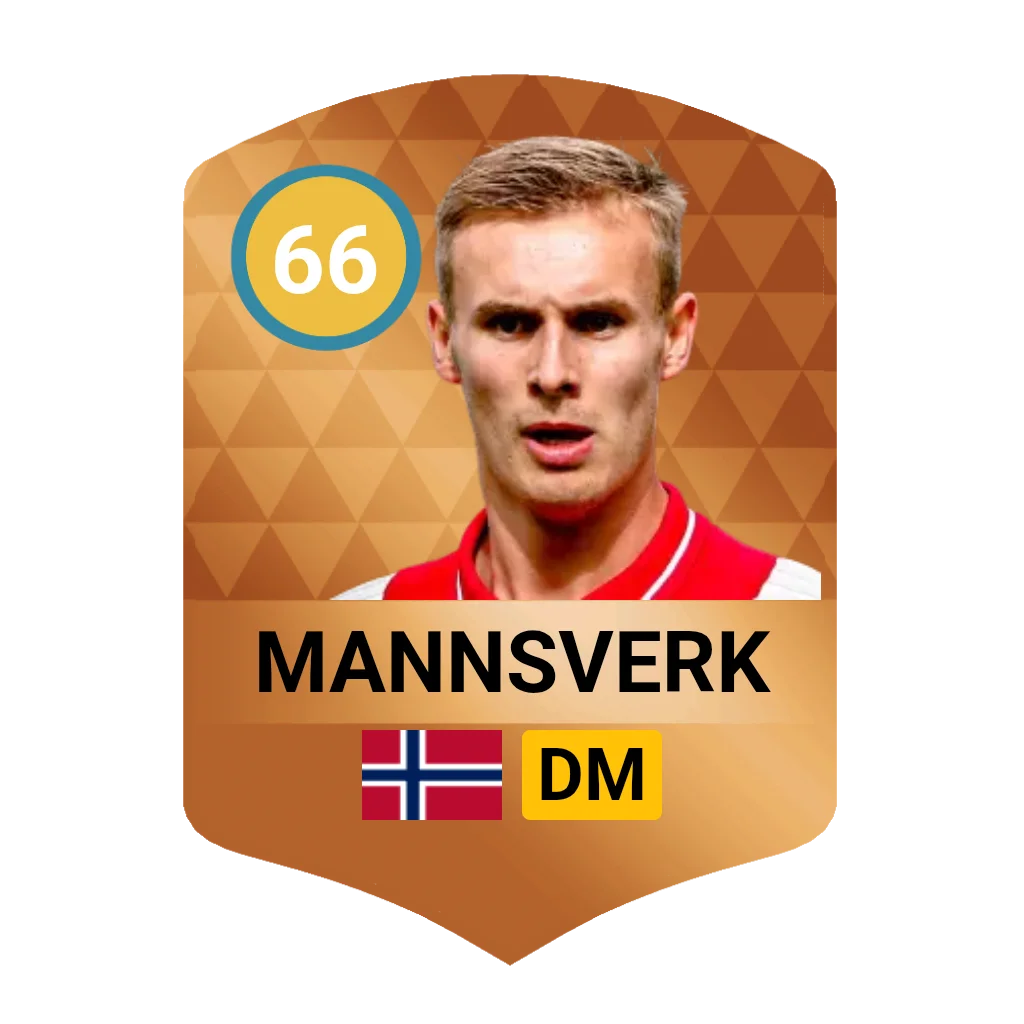 Mannsverk