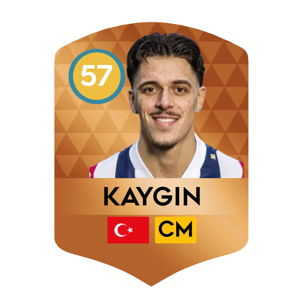 Kaygın
