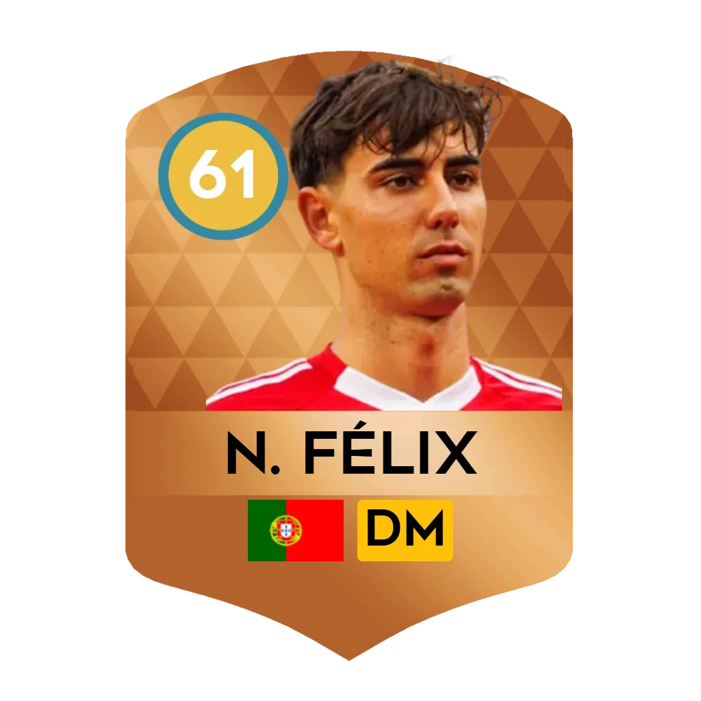 N. Félix