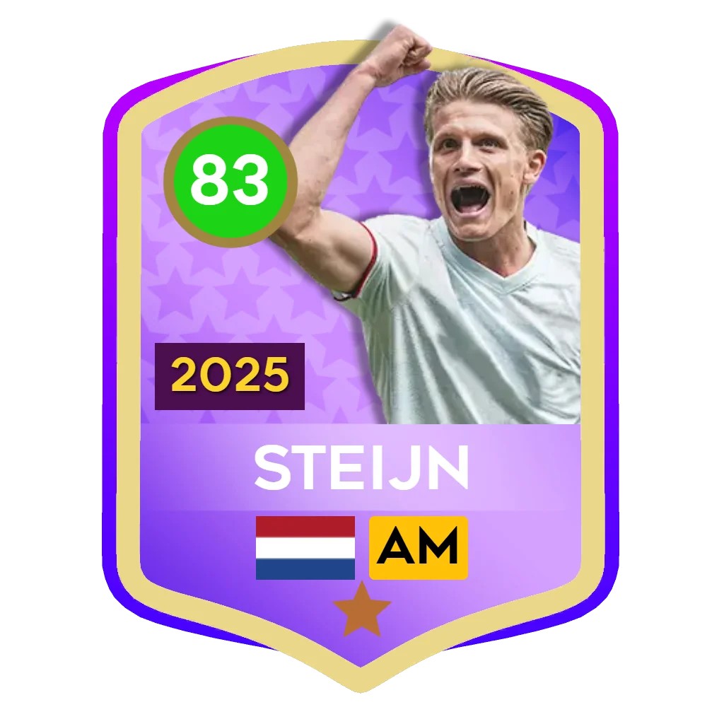 Steijn