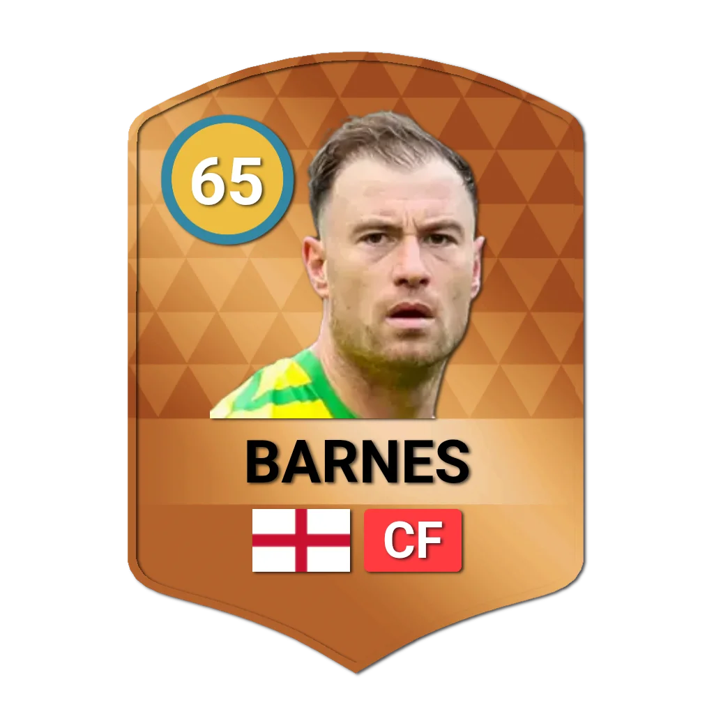 Ashley Barnes DLS 26 Card